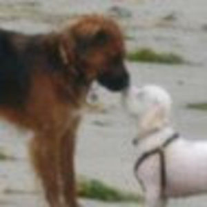 Meet your Posher, Brooke